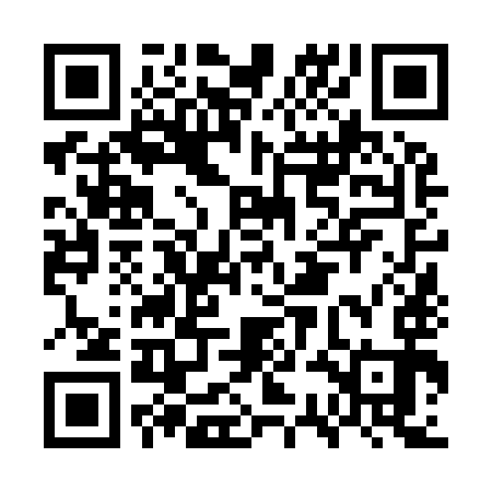 QR code for GSN993