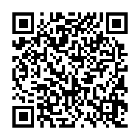 QR code for GSU336