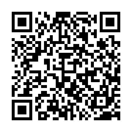 QR code for GUD317