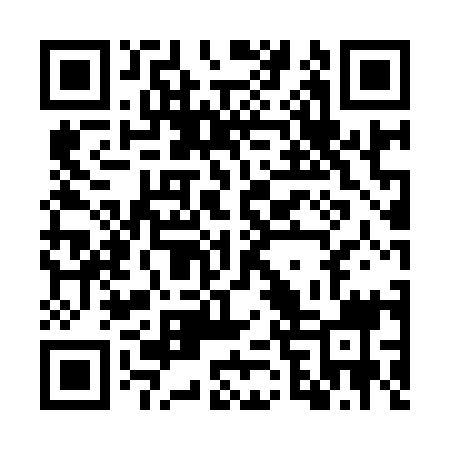 QR code for GVU919