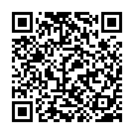 QR code for GYS919
