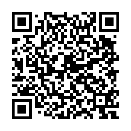 QR code for GYX411