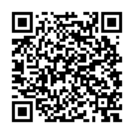 QR code for HAV314