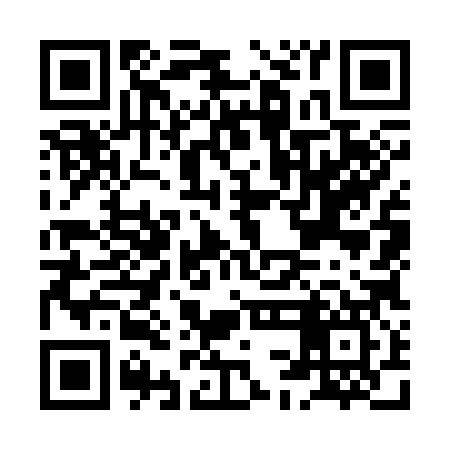 QR code for HCO387