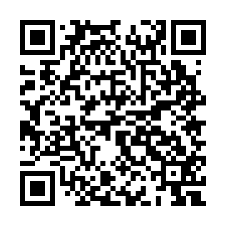 QR code for HFE313