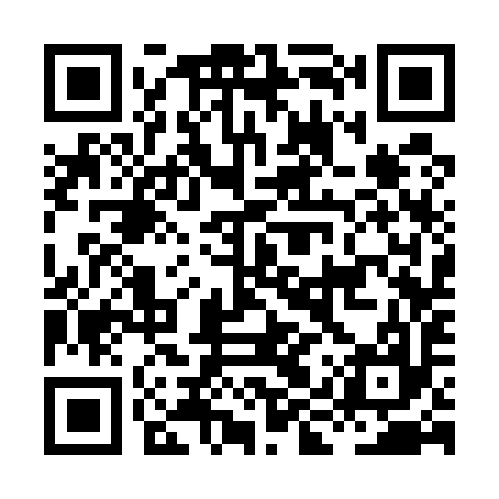 QR code for HIS597
