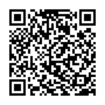 QR code for HLG539