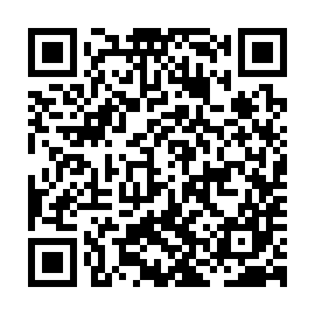 QR code for HNS387