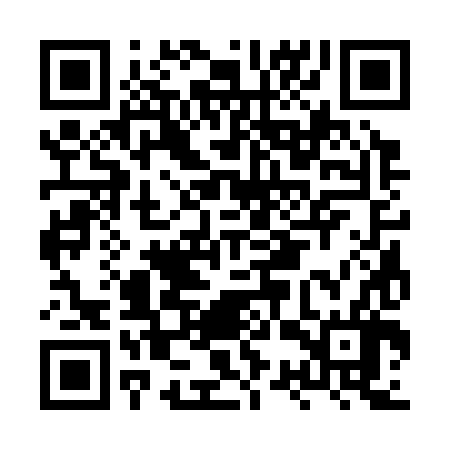 QR code for HSS386