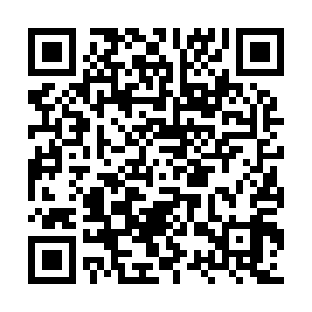 QR code for HSV919