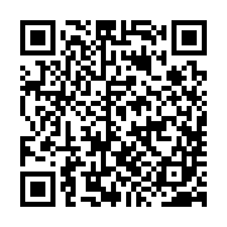 QR code for HYB383