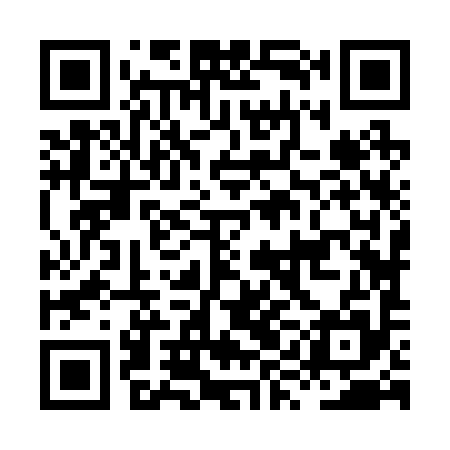 QR code for HYJ295