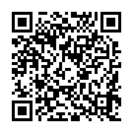 QR code for HYY299