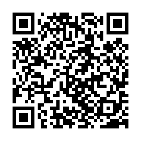 QR code for HZN499