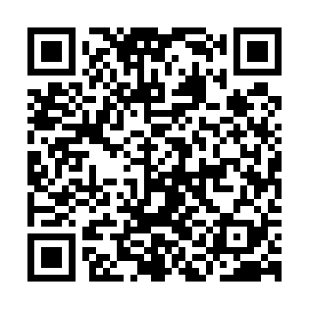 QR code for IAE529