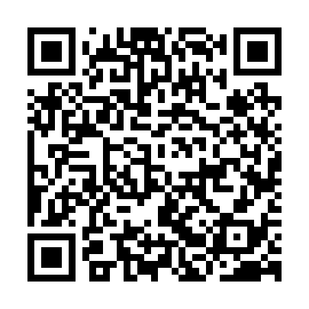 QR code for IBV238