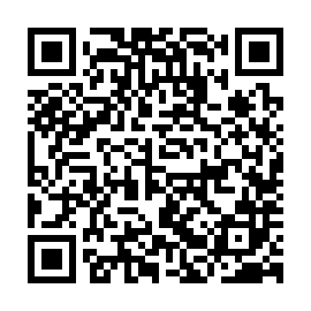 QR code for IBV382