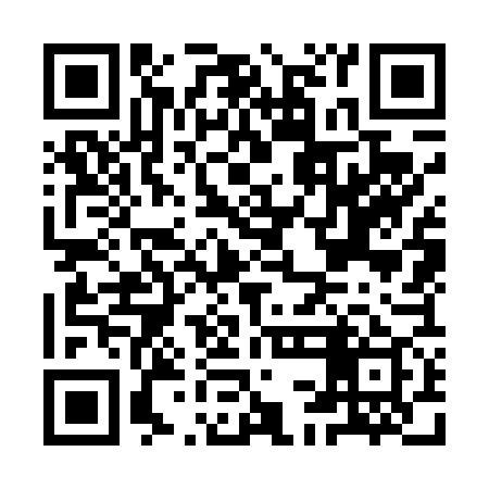 QR code for ICO479