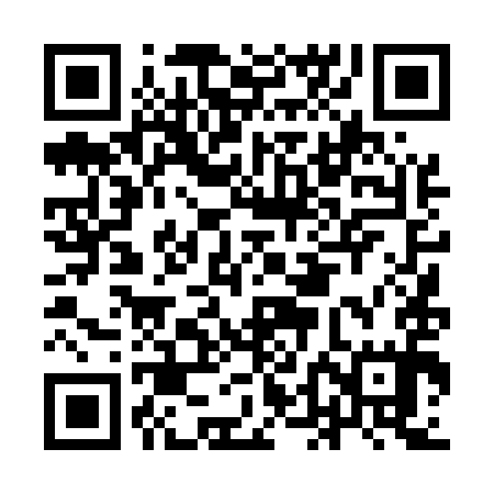 QR code for IDD595