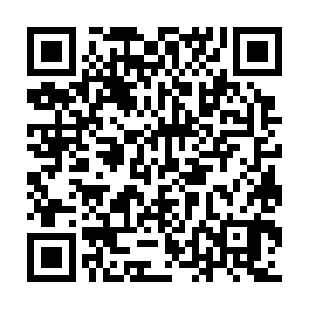QR code for IDG380