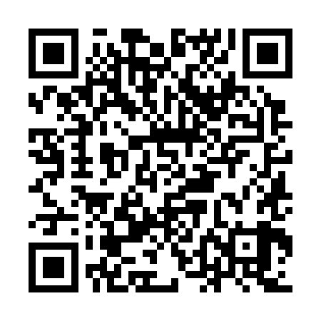 QR code for IDK389