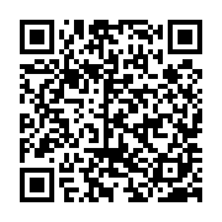 QR code for IDN581