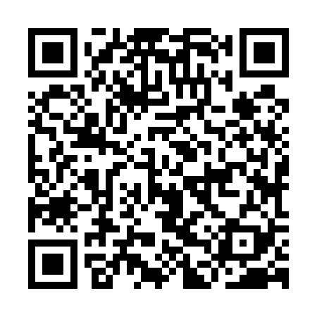 QR code for IDZ529