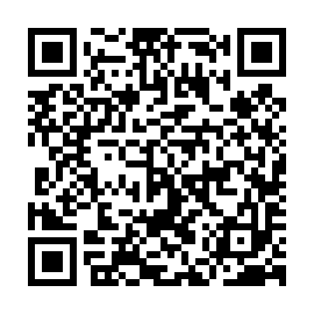 QR code for IEV493