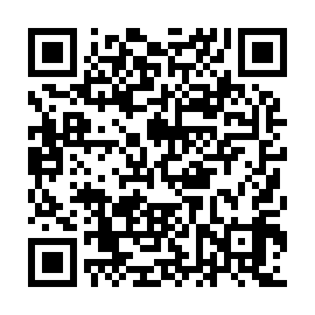 QR code for IFP919