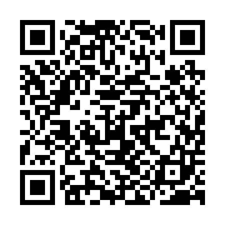 QR code for IIA203