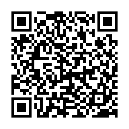 QR code for IIC323