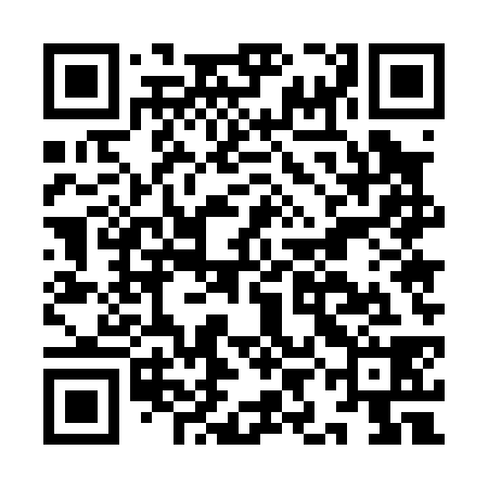 QR code for IIE038
