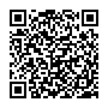 QR code for IIE397