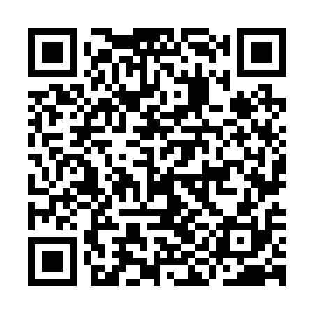QR code for IIN210