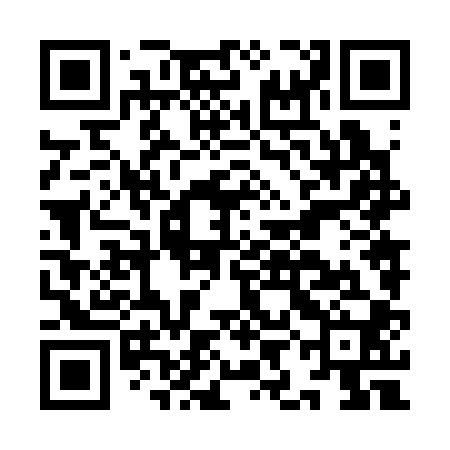 QR code for IIN300