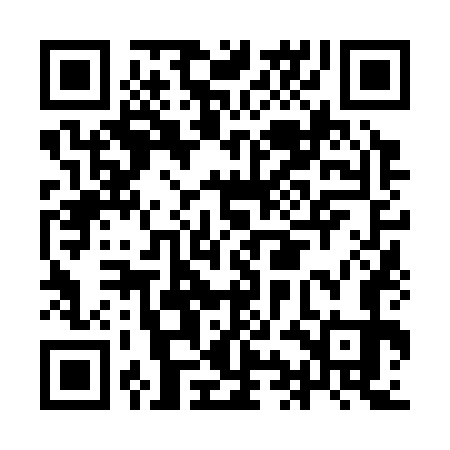 QR code for IIN373