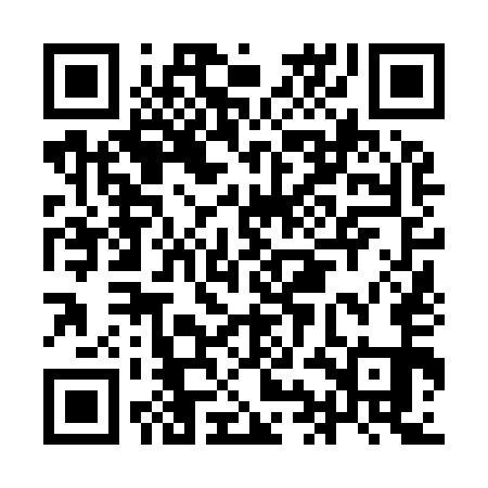 QR code for IIN951