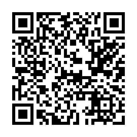 QR code for IIR299