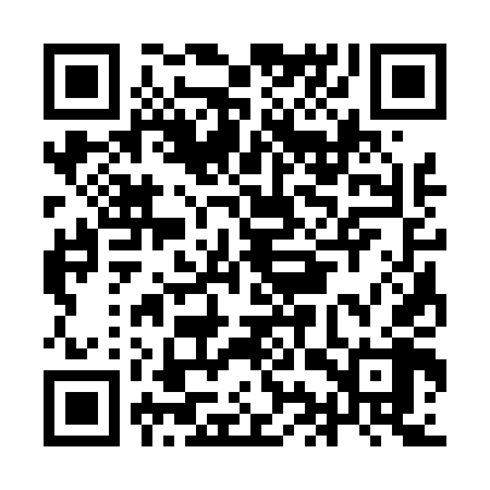 QR code for IIS448