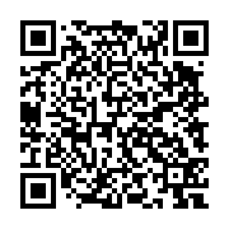 QR code for IIT433