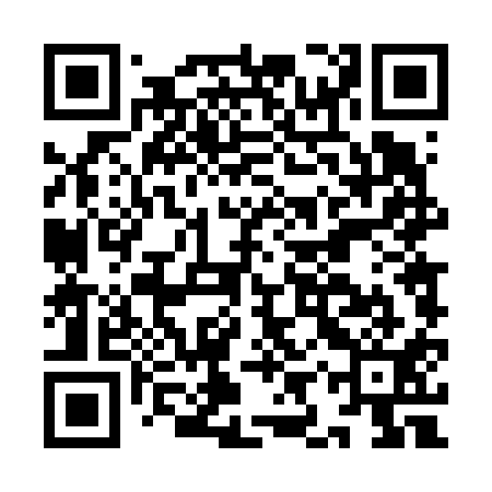 QR code for IIT611