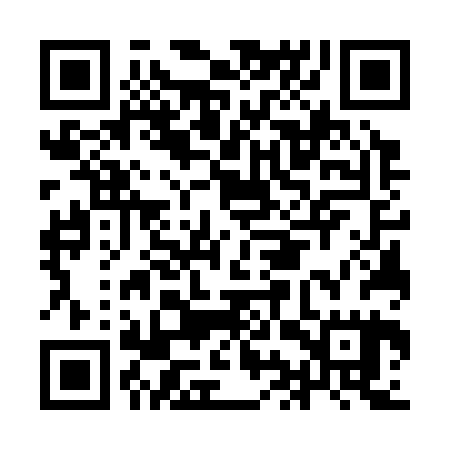 QR code for IIW325