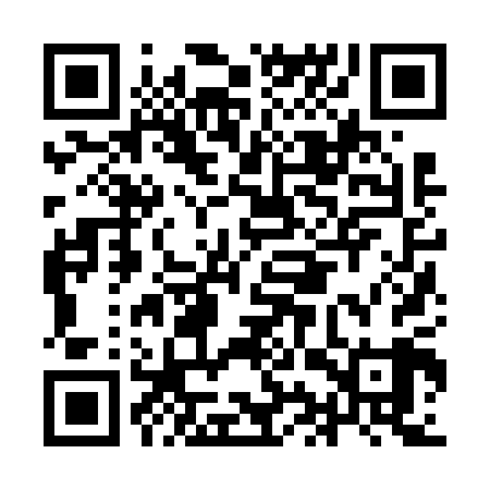 QR code for IIZ609