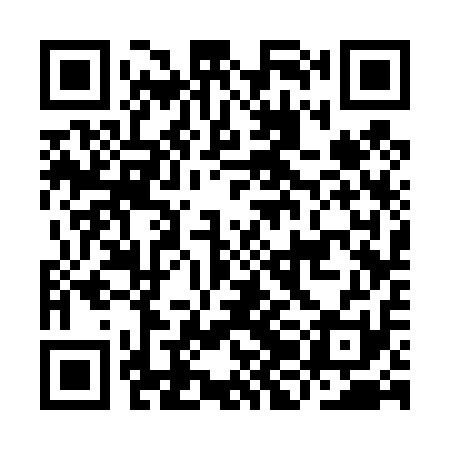 QR code for IJC411