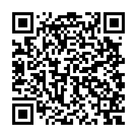 QR code for IJV001