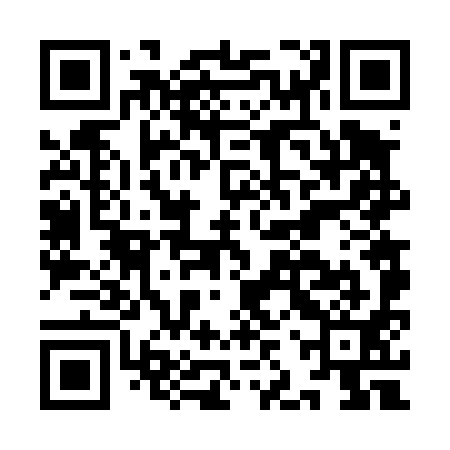 QR code for IJV491