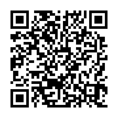 QR code for IJX303