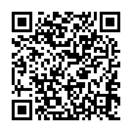 QR code for ILD953
