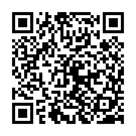 QR code for INI049