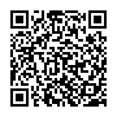 QR code for INI318